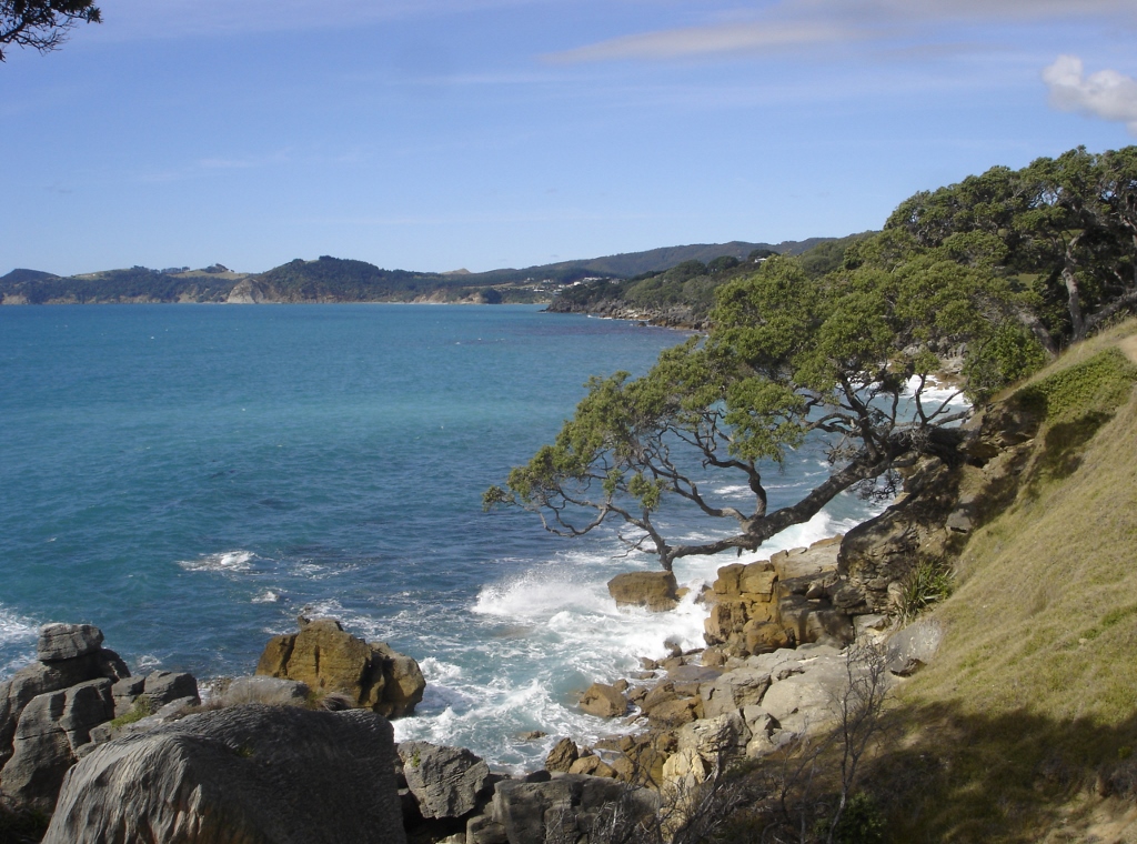 Stunning Waipu Cove Coastal walk with dramatic views Stay at the Country Homestead at Black Sheep Farm and experience the stunning Waipu Cove Coastal walk with dramatic views
