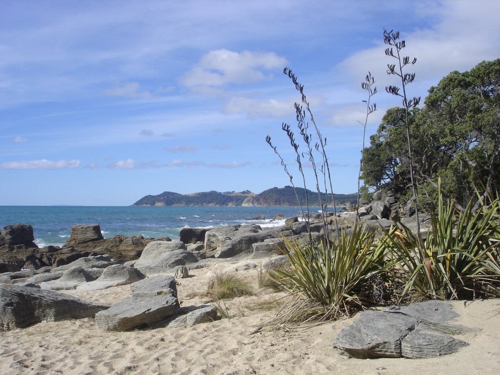 Stunning Waipu Cove Coastal walk with secluded private beaches Stay at the Country Homestead at Black Sheep Farm and experience the stunning Waipu Cove Coastal walk with secluded private beaches